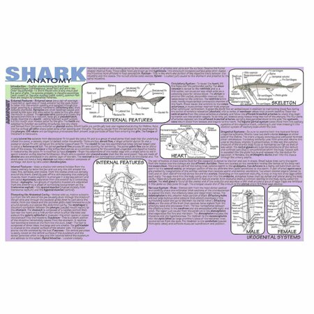 FREY SCIENTIFIC Shark Dissection Mat 420.5045.1